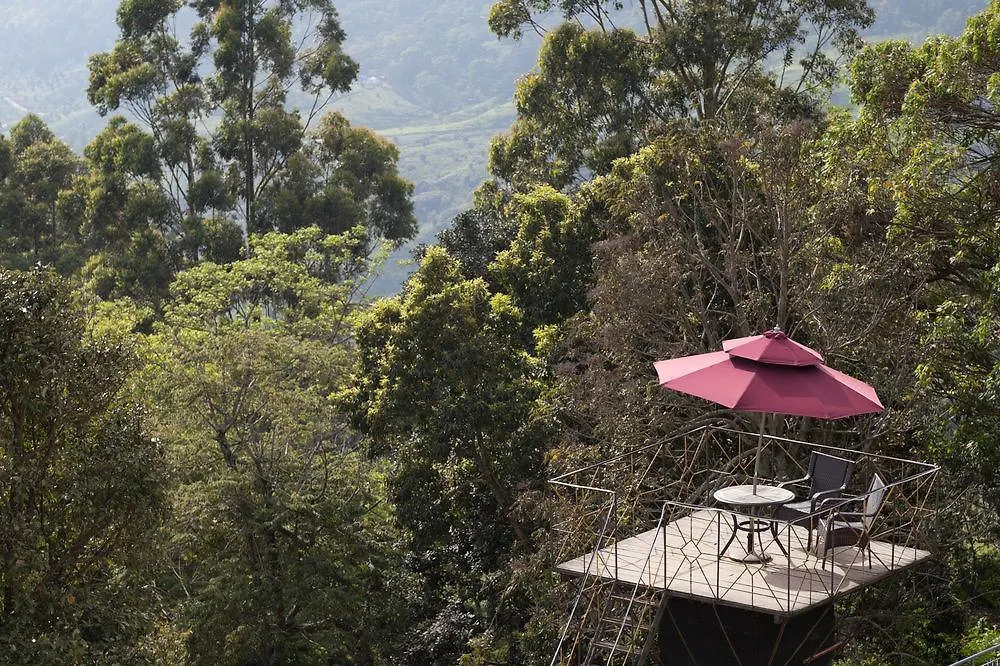 Munnar - Terrace Greens, A Sterling Holidays Resort Hotel
