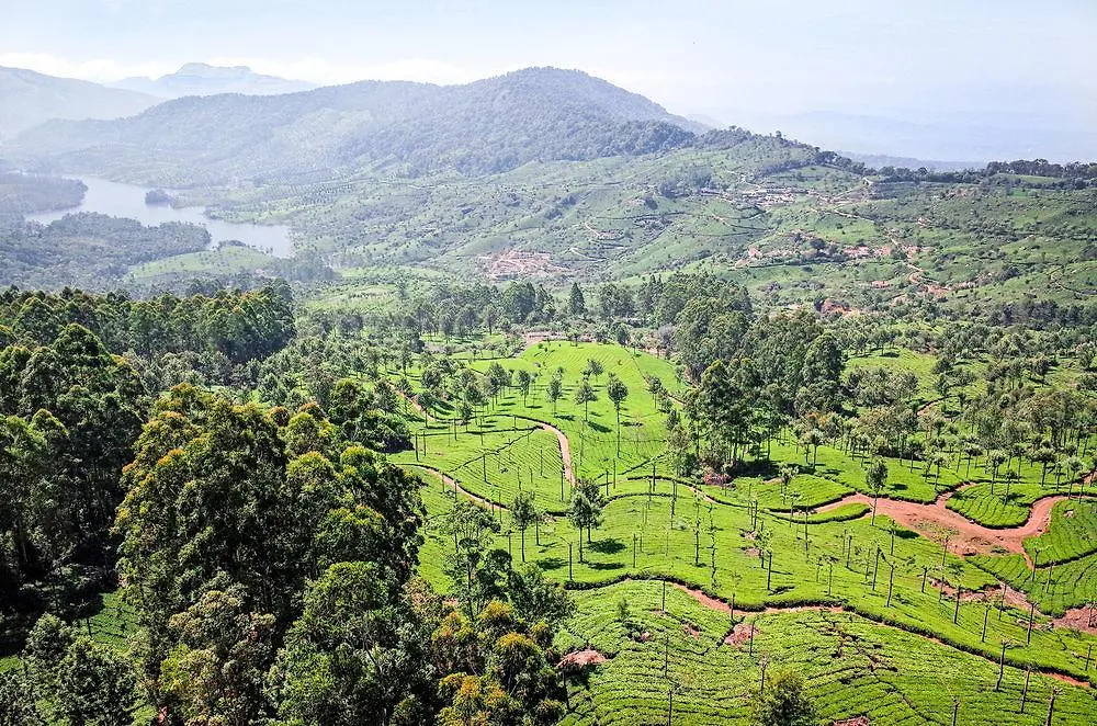 **** Hotel Munnar - Terrace Greens, A Sterling Holidays Resort India